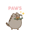 🎄 Christmas Pusheen 15