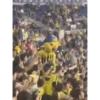 Fenerbahçe Yellow 18