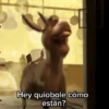 Hey quiobole cómo están?