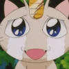 POKÉMON 22
