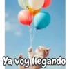 Funny random para contestar 😁💬 15