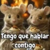 Animalitos Animados Random 🐇🐿 15