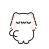 Cute cat 9