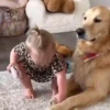 💗 Bebés Niños Kids 💕 10