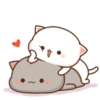 Mochi Peach cat 9 15