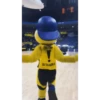 Fenerbahçe Yellow 15