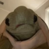 🎵 TIKTOKeando 29🎵 23