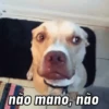 não mano, não