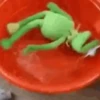 🐸 RANA RENÉ MOODS 🐸 13