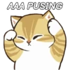 Kucing Gemoy #2 7