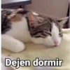 Dejen dormir