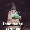 Encontraste el gato mago