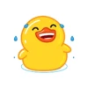 Utya duck  7