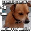 Tem Alguém aí? se tem então responde! 1