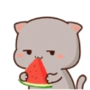 Mochi CAT  5