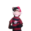 FLAMENGO ❤️🖤 6