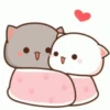 Kiss Cat 20