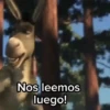 Nos leemos luego!