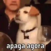 Já vai surtar 🤦🏻‍♂️ 11