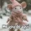 Animalitos Animados Random 🐇🐿 11