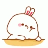 RABBITTTT  12