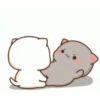 Kiss Cat 21