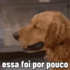 essa foi por pouco