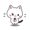 Cute Kitty❣️ 15