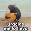 🎃 Halloween Pets 🎃 11