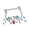 Cute Kitty❣️ 14