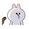 BROWN & FRIENDS x HyperRabbit : 5 5