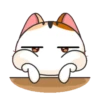 Gojill the meow 7