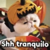 🎃 Halloween Pets 🎃 13