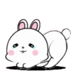Lovely Rabbit 4B 5