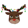 Christmas 12