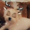 Renos Navidad Mov 10