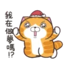 白爛貓 聖誕魔幻樂園)(New) 11