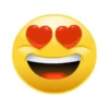 Emojis with hands 14