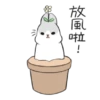 Machiko17 13