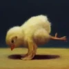 YOGA CHICKS 5