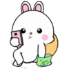 Lovely Rabbit 4A 7