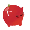 Gato tomate 9