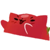 Gato tomate 10