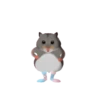 Hamsters Dancing 8