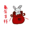 2023 兔年大吉 5