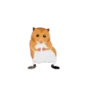 Hamsters Dancing 9