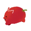 Gato tomate 12