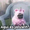 🎃 Halloween Pets 🎃 14