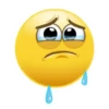Emojis with hands 17