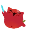 Gato tomate 13